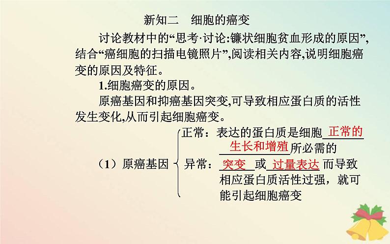 新教材2023高中生物第5章基因突变及其他变异第1节基因突变和基因重组课件新人教版必修206