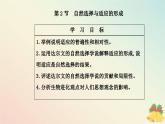 新教材2023高中生物第6章生物的进化第2节自然选择与适应的形成课件新人教版必修2