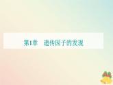 新教材2023高中生物第1章遗传因子的发现第1节孟德尔的豌豆杂交实验一课件新人教版必修2