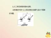 新教材2023高中生物第1章遗传因子的发现第1节孟德尔的豌豆杂交实验一课件新人教版必修2