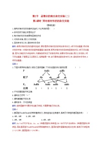 高中生物人教版 (2019)必修2《遗传与进化》第2节 孟德尔的豌豆杂交实验（二）习题