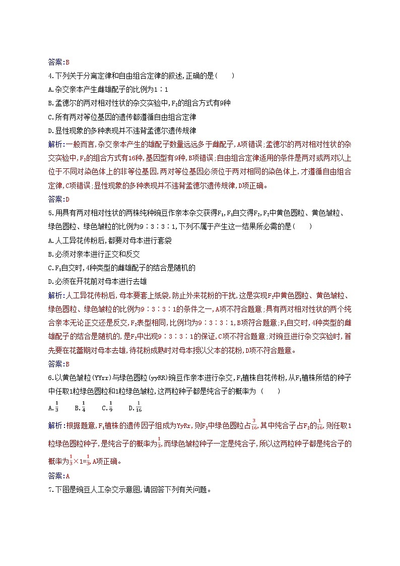 新教材2023高中生物第1章遗传因子的发现第2节孟德尔的豌豆杂交实验二同步测试新人教版必修202