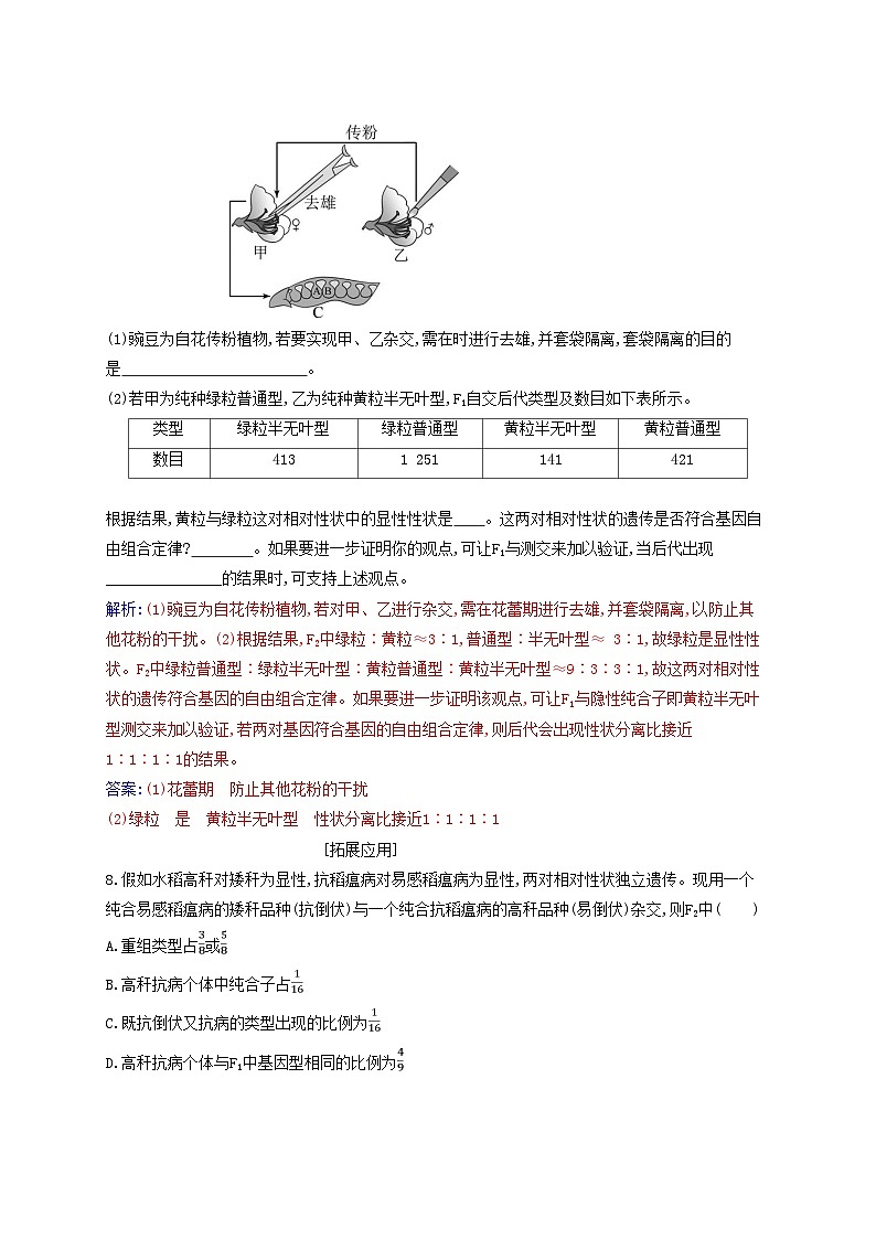 新教材2023高中生物第1章遗传因子的发现第2节孟德尔的豌豆杂交实验二同步测试新人教版必修203
