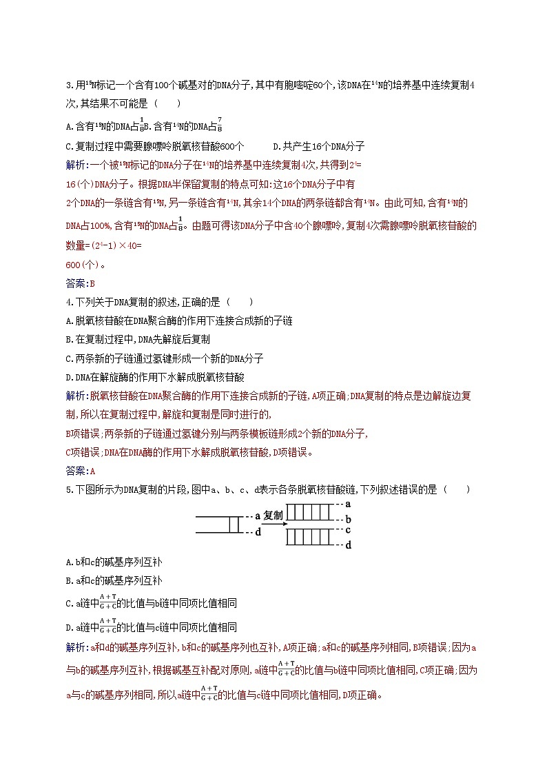 新教材2023高中生物第3章基因的本质第3节DNA的复制同步测试新人教版必修202