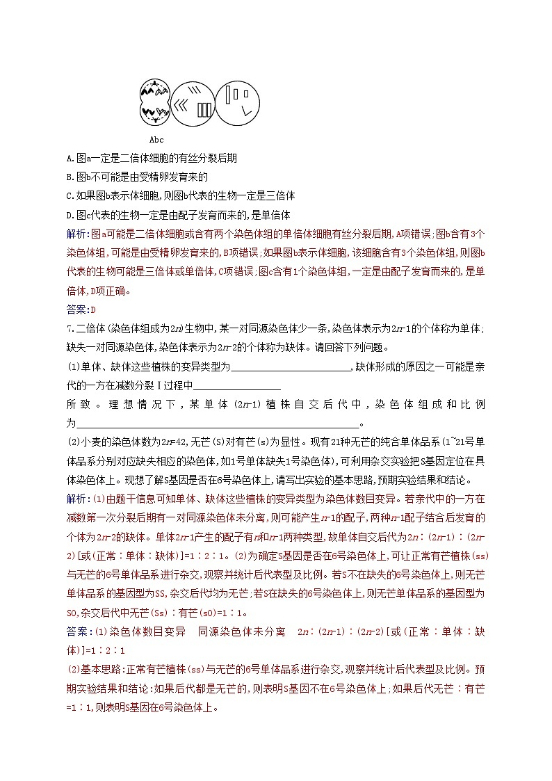 新教材2023高中生物第5章基因突变及其他变异第2节染色体变异同步测试新人教版必修2第3页