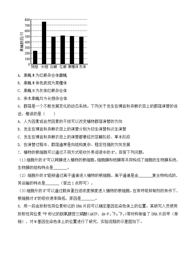 2021年高考生物试卷-(甲卷含解析)02