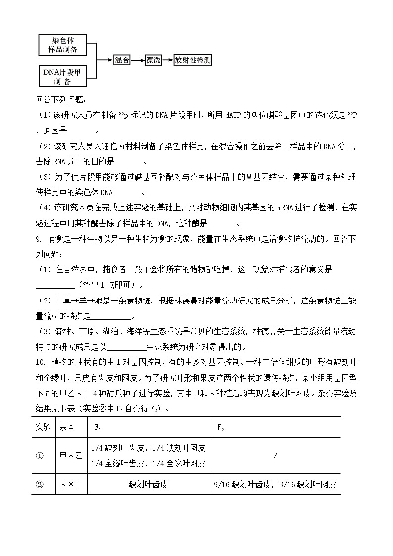 2021年高考生物试卷-(甲卷含解析)03