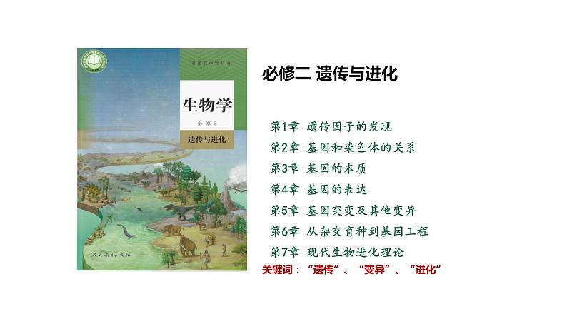 1.1孟德尔的豌豆杂交实验（一） 课件 人教版生物必修2第1页
