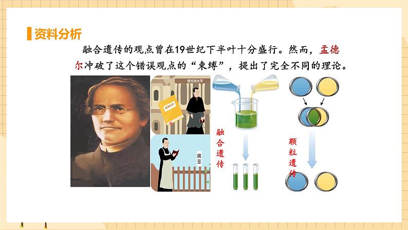 1.1孟德尔的豌豆杂交实验（一） 课件 人教版生物必修2第5页