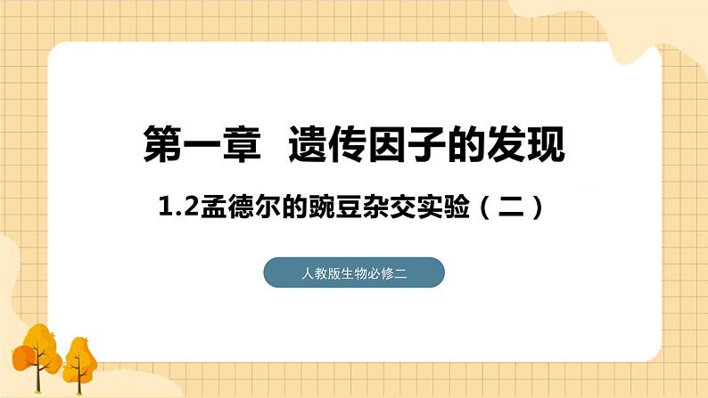 1.2孟德尔的豌豆杂交实验（二） 课件 人教版生物必修201