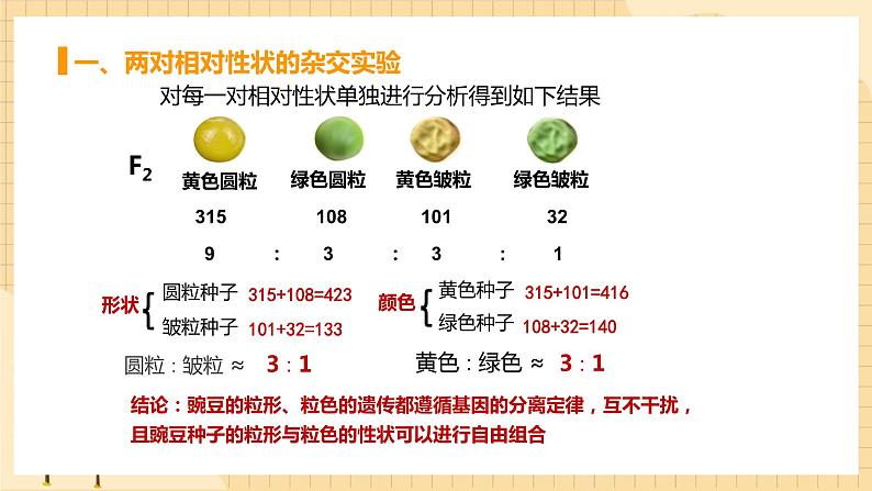 1.2孟德尔的豌豆杂交实验（二） 课件 人教版生物必修205