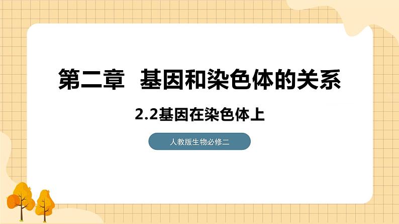 2.2基因在染色体上 课件 人教版生物必修201