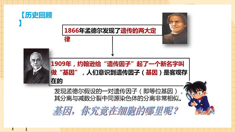 2.2基因在染色体上 课件 人教版生物必修202