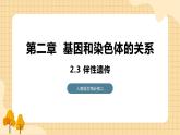 2.3 伴性遗传 课件 人教版生物必修2