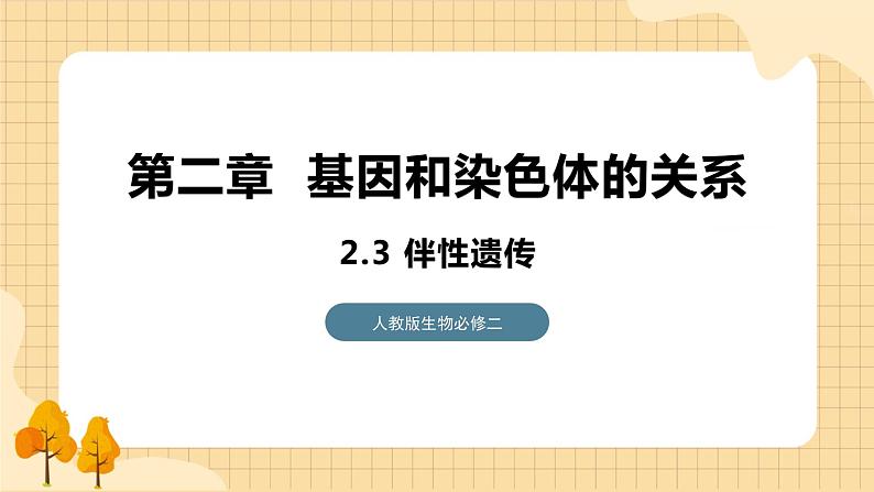 2.3 伴性遗传 课件 人教版生物必修201