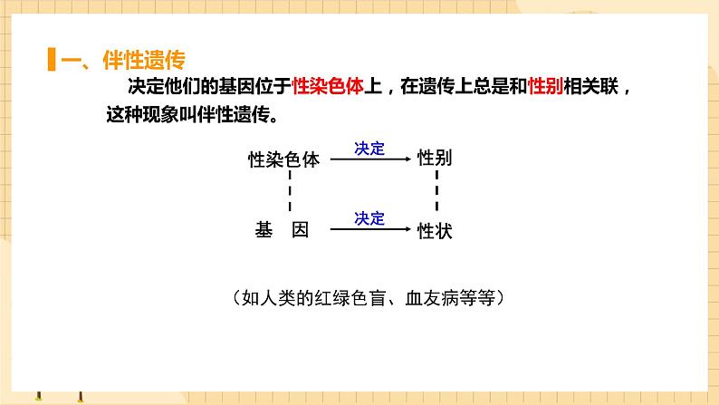 2.3 伴性遗传 课件 人教版生物必修203