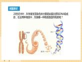 3.1 DNA是主要的遗传物质 课件 人教版生物必修2