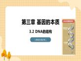 3.2 DNA的结构 课件 人教版生物必修2