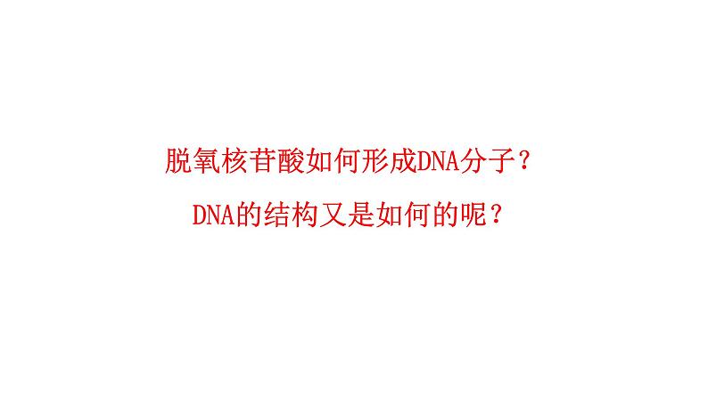 3.2 DNA的结构 课件 人教版生物必修204