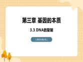 3.3 DNA的复制 课件 人教版生物必修2