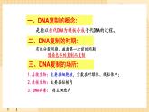 3.3 DNA的复制 课件 人教版生物必修2