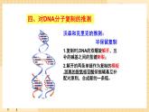 3.3 DNA的复制 课件 人教版生物必修2