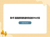 3.4 基因通常是有遺傳效應(yīng)的DNA片段 課件 人教版生物必修2