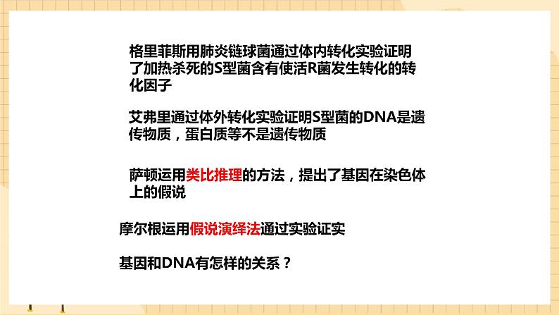 3.4 基因通常是有遗传效应的DNA片段 课件 人教版生物必修202