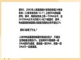 3.4 基因通常是有遗传效应的DNA片段 课件 人教版生物必修2