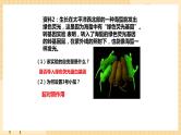 3.4 基因通常是有遗传效应的DNA片段 课件 人教版生物必修2
