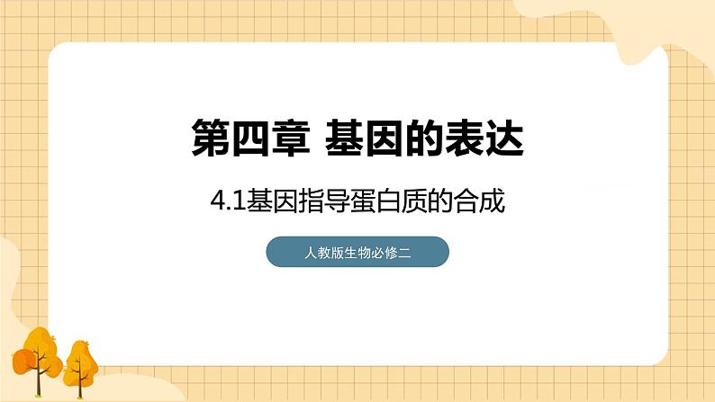 4.1基因指导蛋白质的合成 课件 人教版生物必修201