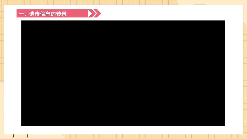 4.1基因指导蛋白质的合成 课件 人教版生物必修207