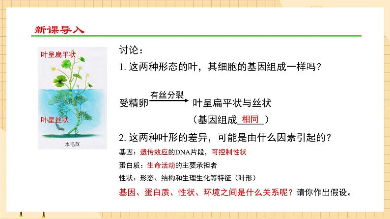 4.2 基因表达与性状的关系 课件 人教版生物必修2第4页