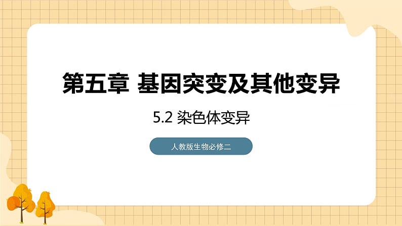 5.2 染色体变异 课件 人教版生物必修201