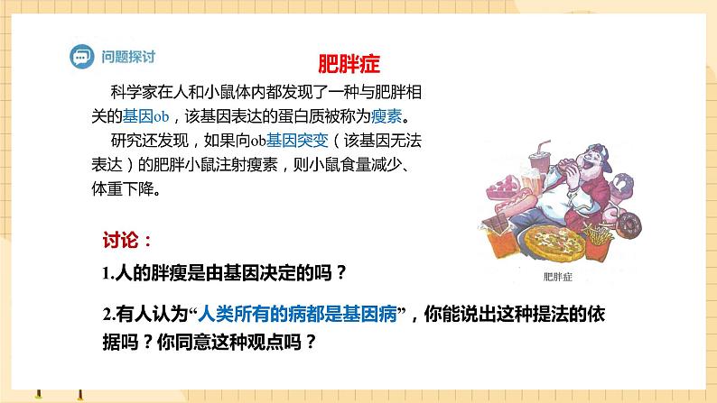 5.3 人类遗传病 课件 人教版生物必修204