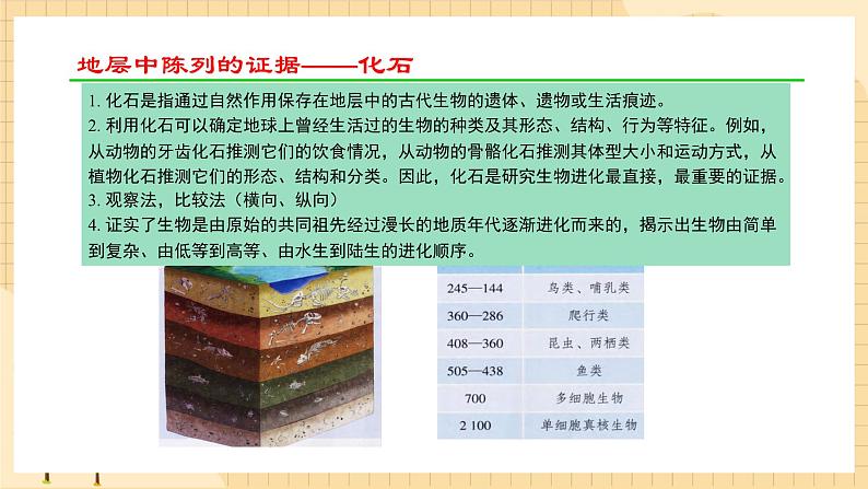 6.1 生物有共同祖先的证据 课件 人教版生物必修204