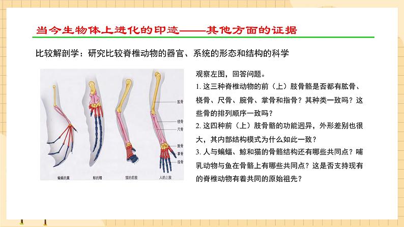 6.1 生物有共同祖先的证据 课件 人教版生物必修205