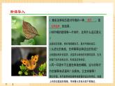 6.2 自然选择与适应的形成 课件 人教版生物必修2