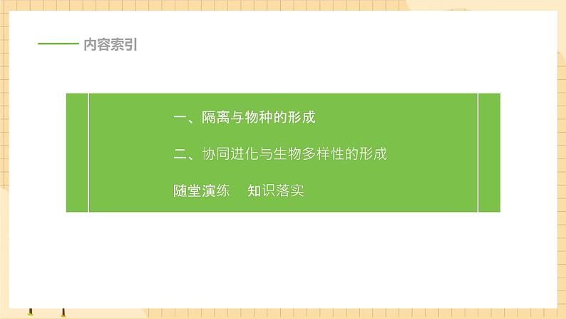 6.4协同进化与生物多样性的形成 课件 人教版生物必修203