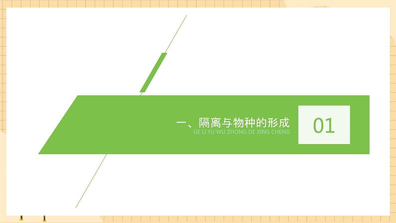 6.4协同进化与生物多样性的形成 课件 人教版生物必修204