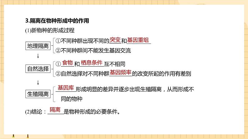 6.4协同进化与生物多样性的形成 课件 人教版生物必修206