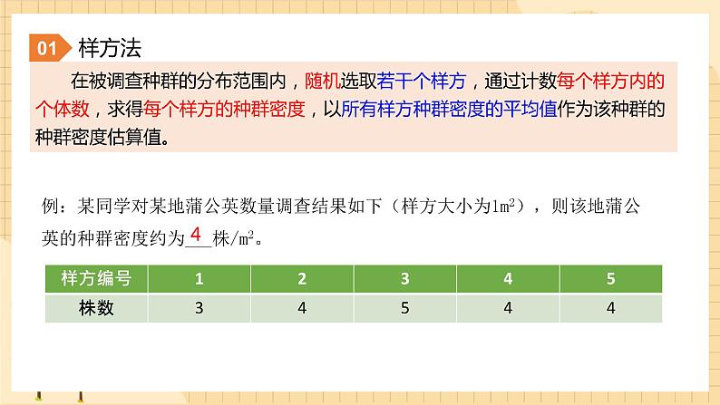 1.1 种群的数量特征  课件 人教版生物选择性必修208