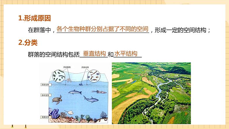 2.1 群落的结构（第2课时） 课件 人教版生物选择性必修2第4页