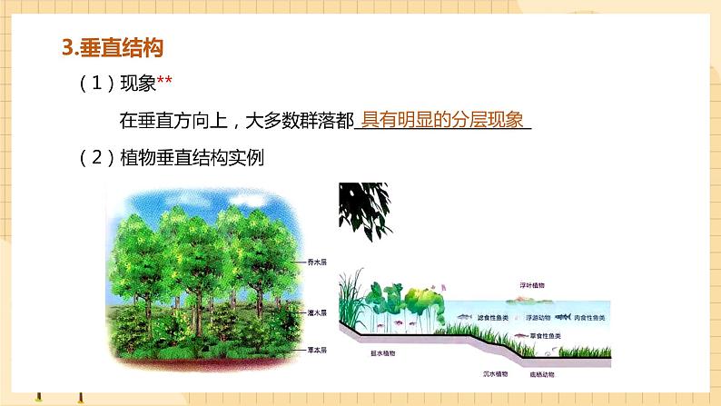 2.1 群落的结构（第2课时） 课件 人教版生物选择性必修2第5页