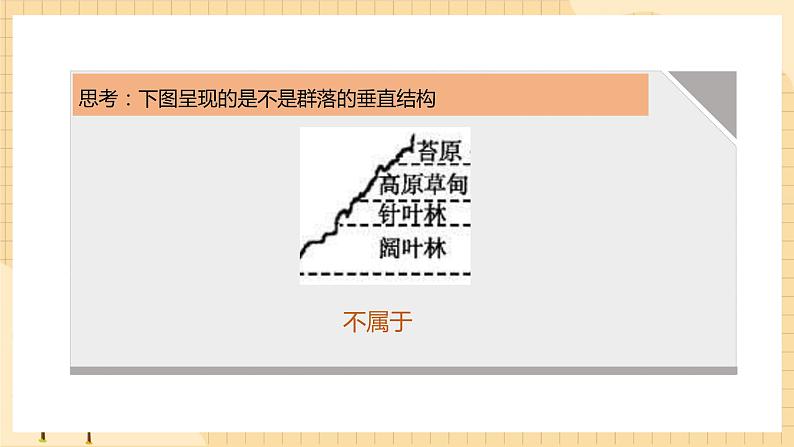 2.1 群落的结构（第2课时） 课件 人教版生物选择性必修2第7页