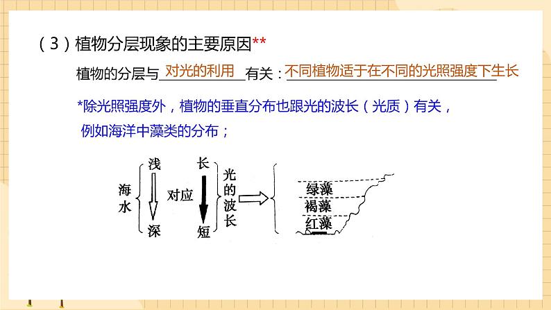 2.1 群落的结构（第2课时） 课件 人教版生物选择性必修2第8页