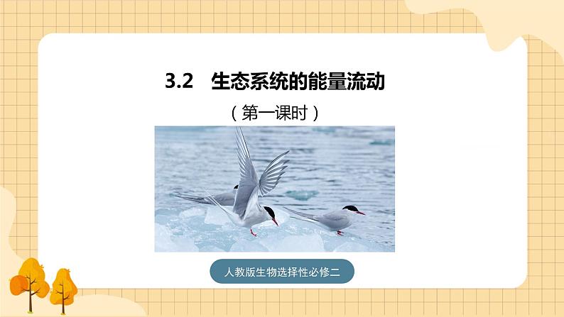 3.2 生态系统的能量流动（第一课时） 课件 人教版生物选择性必修201