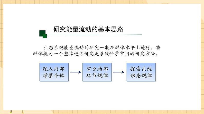 3.2 生态系统的能量流动（第一课时） 课件 人教版生物选择性必修203