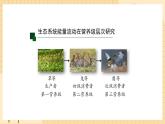 3.2 生态系统的能量流动（第一课时） 课件 人教版生物选择性必修2