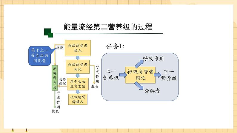 3.2 生态系统的能量流动（第一课时） 课件 人教版生物选择性必修206